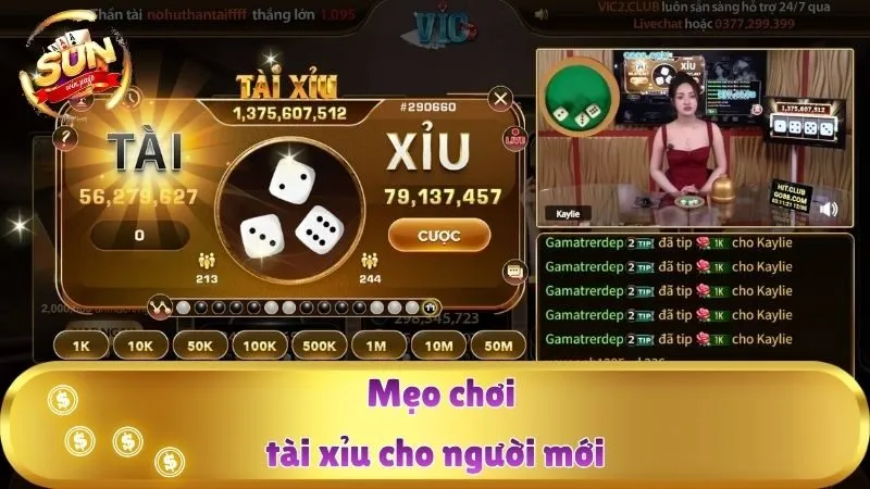 Mẹo chơi tài xỉu cho người mới